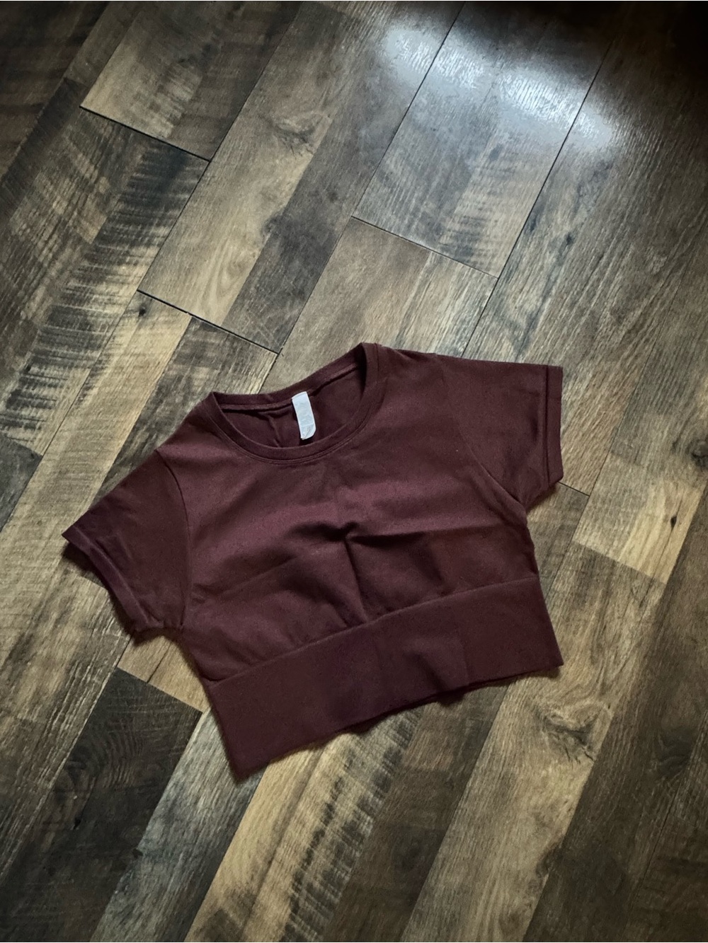 aerie Maroon Cropped Seamless Tee